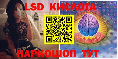 spice Заволжье