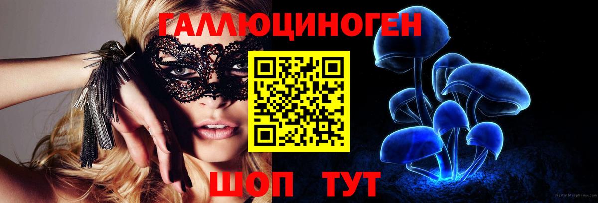 Курчалой  Псилоцибиновые грибы мицелий  наркотики  Вход с VPN 